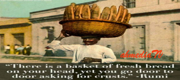 Bread Basket Profile FINAL