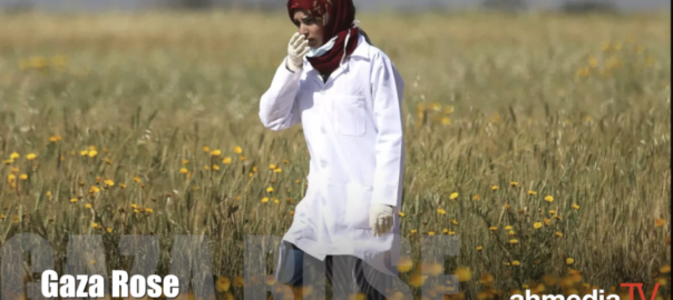 Razan al-Najjar, Gaza Rose